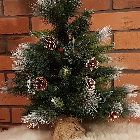 Apartamenty Bachledzki Wierch, Zakopane Luaran gambar